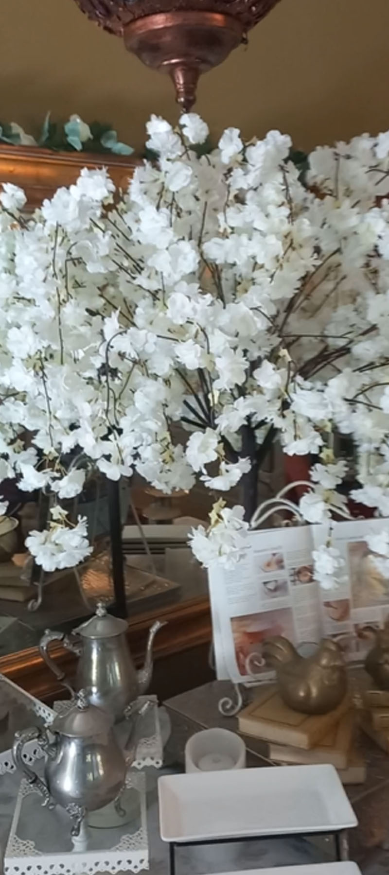 10 Bedroom Property for Sale in Hoekwil Western Cape